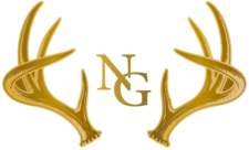 nicolas logo